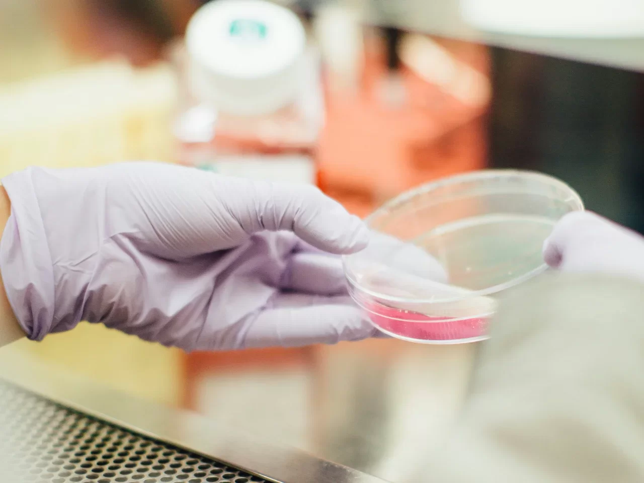 Singapur jako laboratoř světa: Trh s kultivovaným masem tam do roku 2032 vyroste na trojnásobek