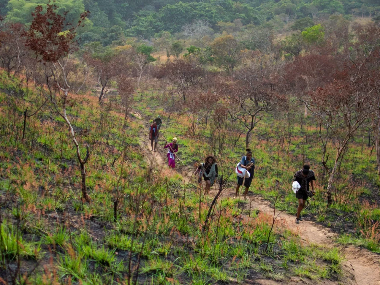 Portugalsko na špici, Kongo na dně. Nový index zkoumal, jak (ne)odolný je globální potravinový systém