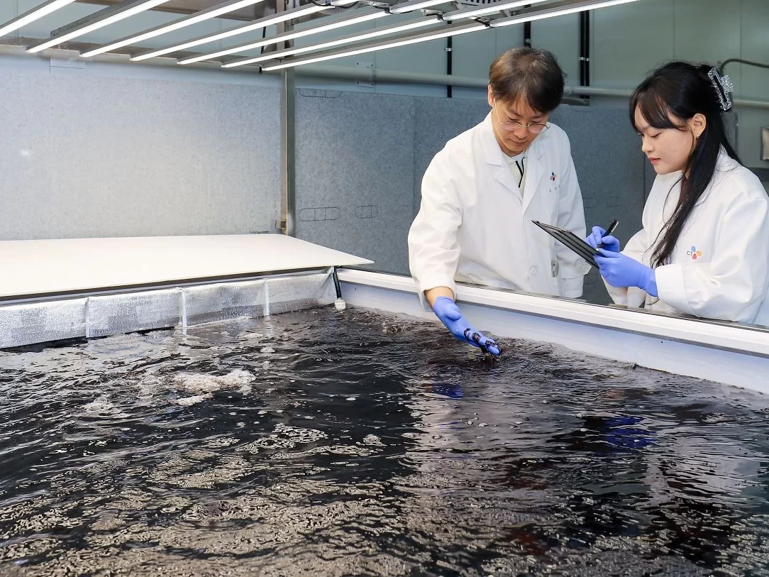 Klimatická změna mění pěstování řas. Korejský gigant CJ Foods staví první pevninskou farmu na řasu nori