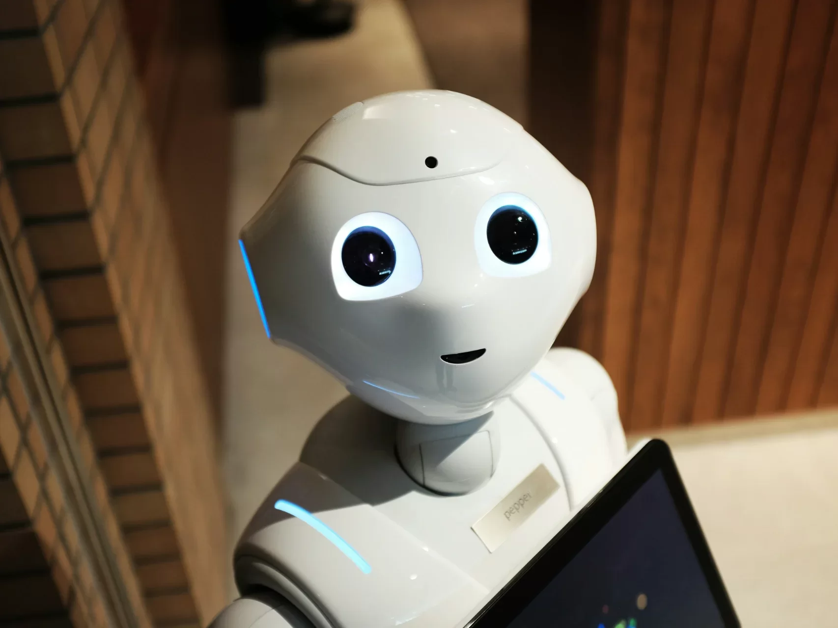 Čína nasazuje umělou inteligenci do veřejných jídelen. Robotická kuchyně v Pekingu obslouží stovky lidí za hodinu
